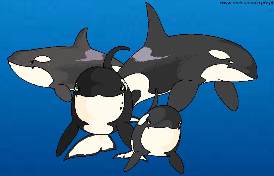 My Orca family.