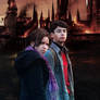 Harry Potter 7