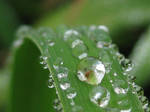 more rain drops by Cloudy-eastern