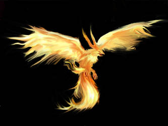 Bird of Fire