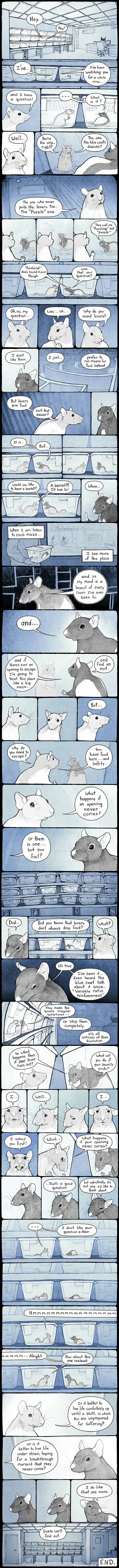 Puzzle Rat Comic by pengosolvent
