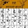 Floral Pop Photoshop Brushes