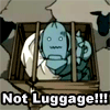 Not Luggage