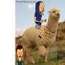 Beavis and Butthead DO Alpaca