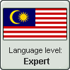 Malaysian Language Level (Expert)