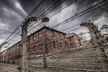 Auschwitz I - Fences