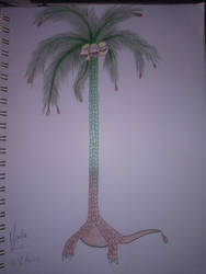 alolan exeggutor Lepidodenron tree variant ADOPT