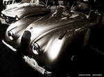 Jaguar XK 120 by zondape