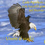 Aguila