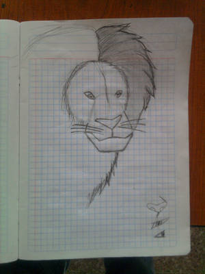 leon dibujo parte 3