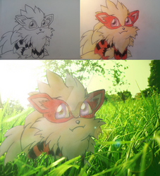 My little Chibi Arcanine