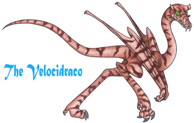 The Velocidraco