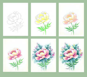 Peony  watercolor tutorial by AnnaFromTheTrain