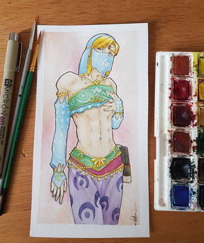 Gerudo Link