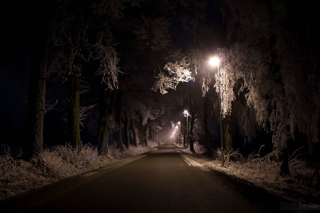 Foggy Road