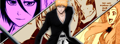 Bleach~