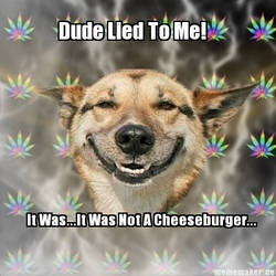 Stoner Dog