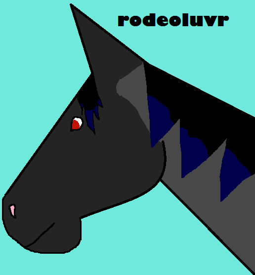 icon for rodeoluver