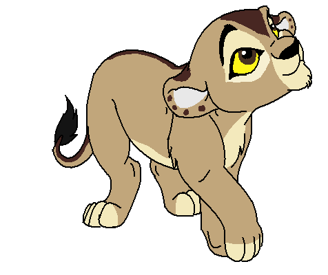 lion adoptable CLOSED