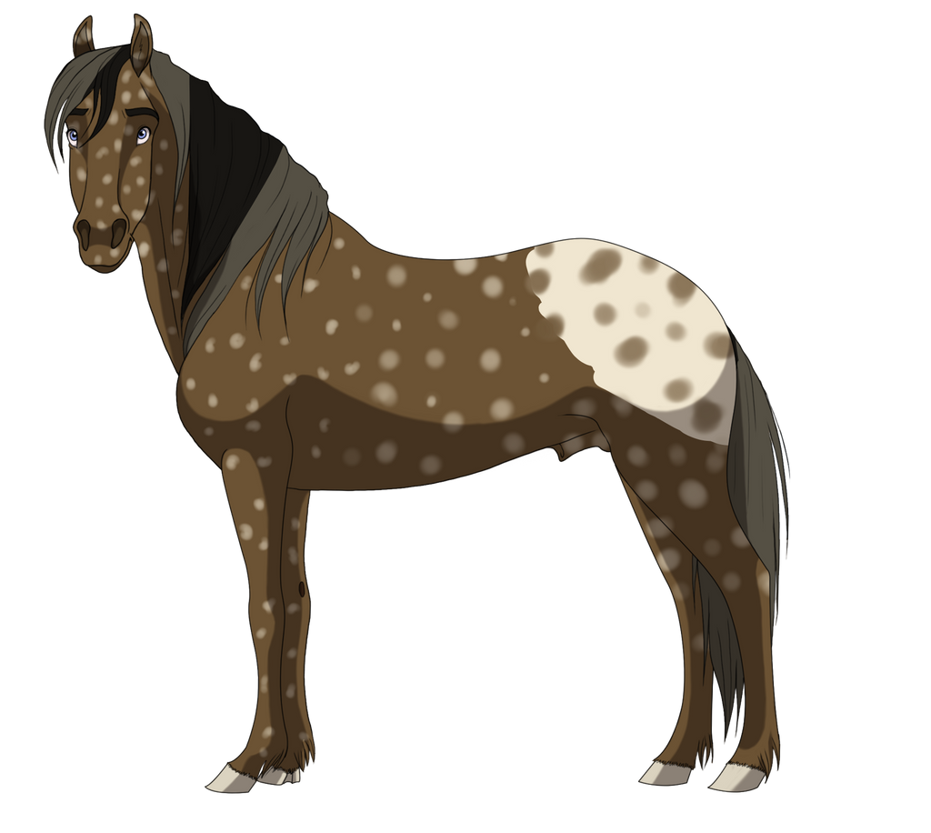 Stallion adopt 1 CLOSED