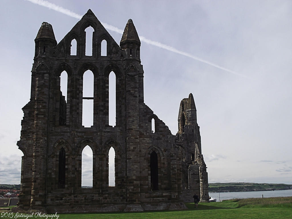 Whitby Abbey V