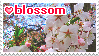 Blossom stamp