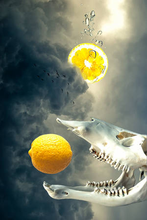 Lemons by DinowCookie Lemons by DinowCookie