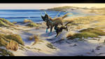 Sunlit Paradise by VisionSkyX