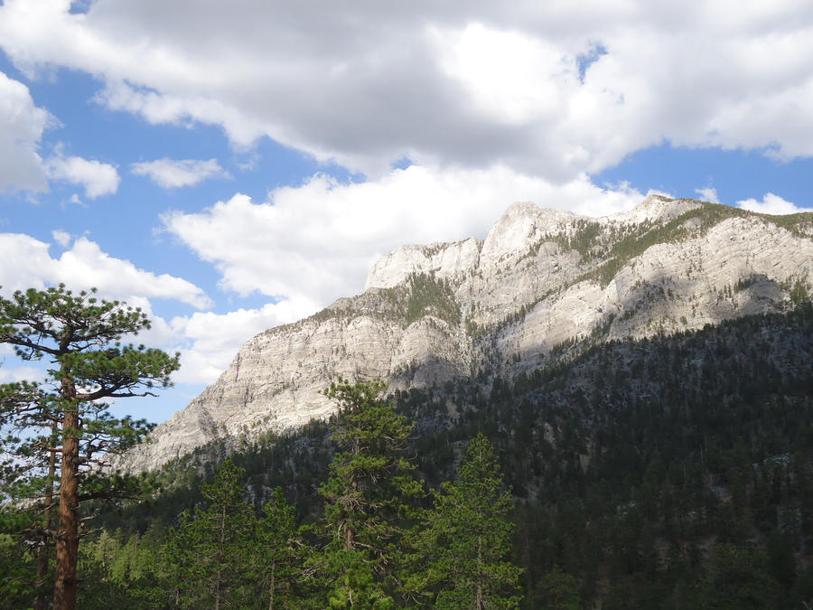 mount charlisten