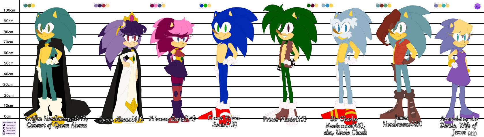 Sonic Family Refence by APamgkrth on DeviantArt