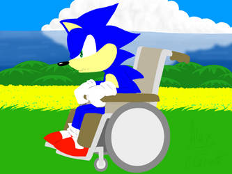 Sonic - Handicap Zone