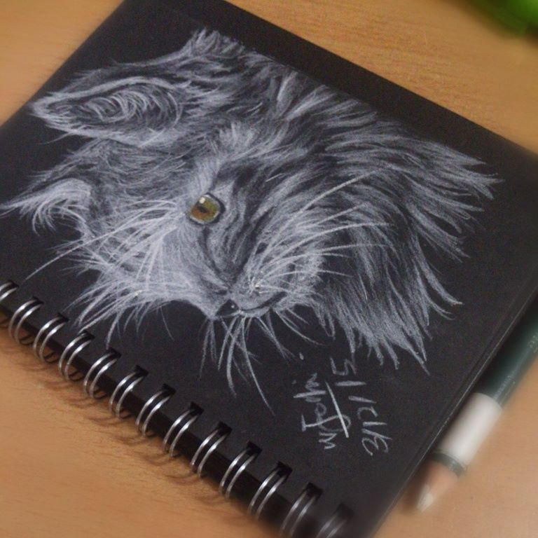 cat by olyzfaje cat by olyzfaje