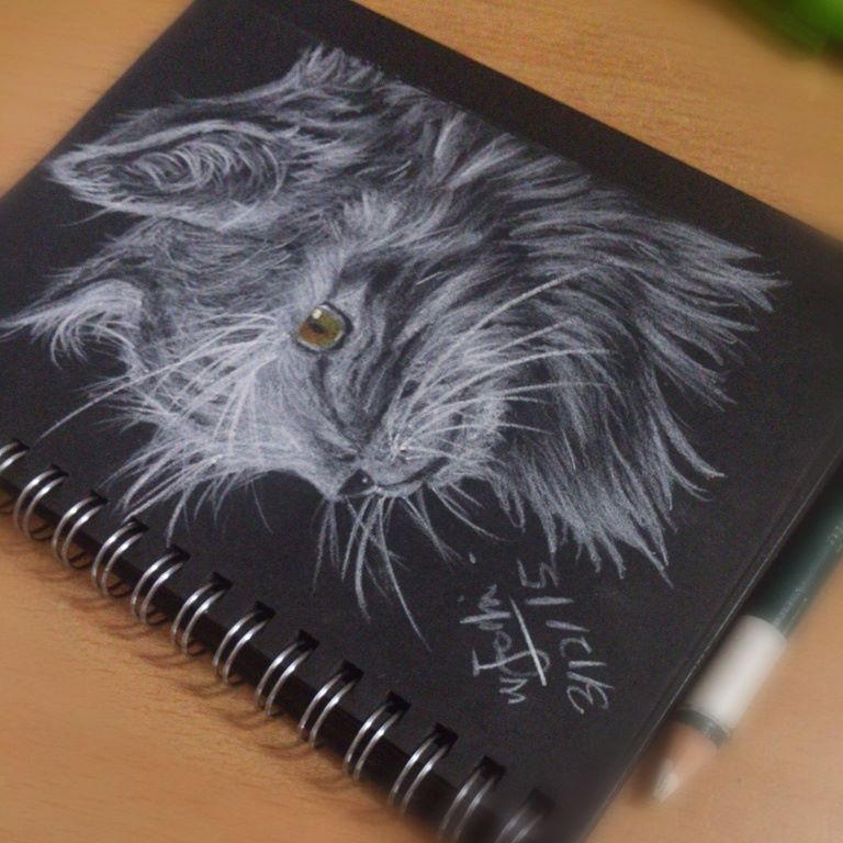 cat by olyzfaje cat by olyzfaje