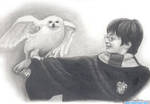Harry And Hedwig by Clsportraits