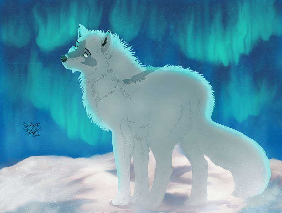 Dagby Deviantart Dagny the arctic fox by Strawberry-Tate on DeviantArt