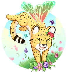 Fairy Cheetah