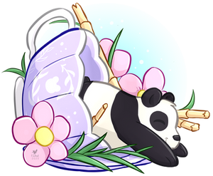 Teacup Panda