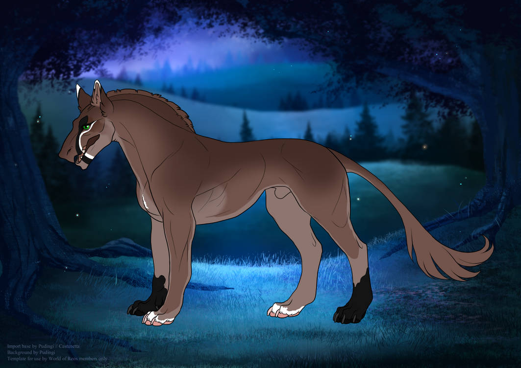 Wor Lf Lore Based Companions And Friends By Sandraudiga San On Deviantart Wor Lf Lore Based Companions And Friends By Sandraudiga San On Deviantart