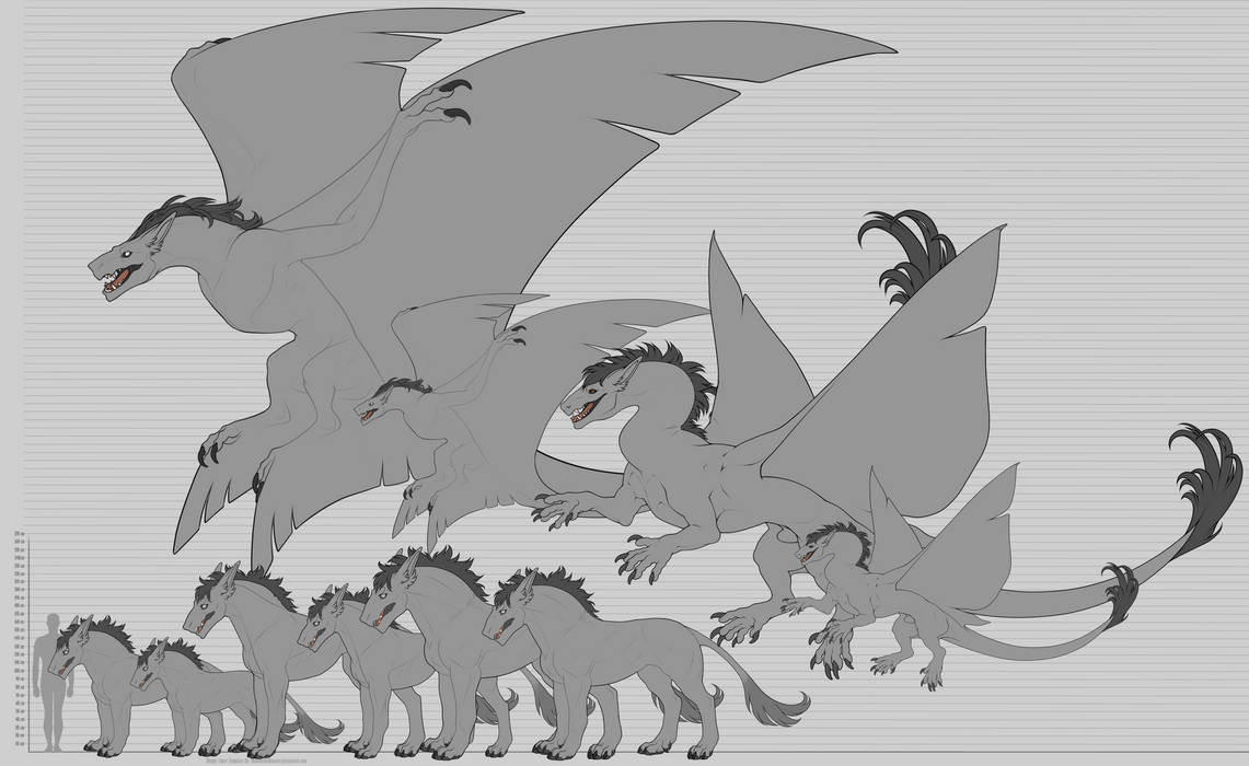 WOR: Official Size Chart by Reos-Empire on DeviantArt