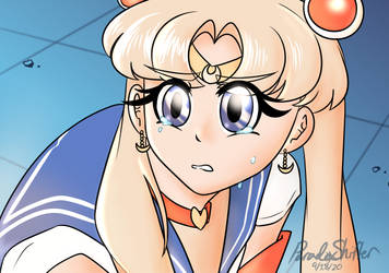 Sailor Moon DTIYS