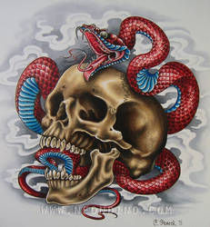 Skull with Snake