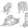 Tiger Doodles