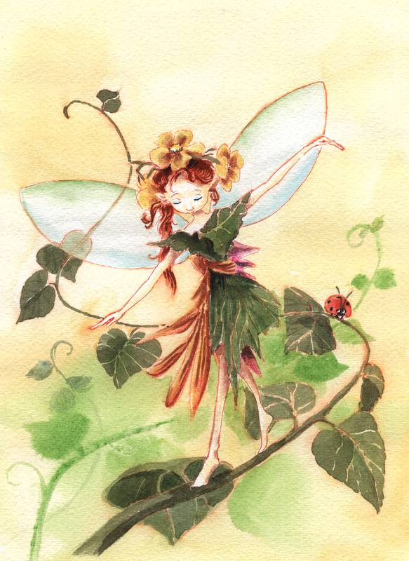 Little Fairy