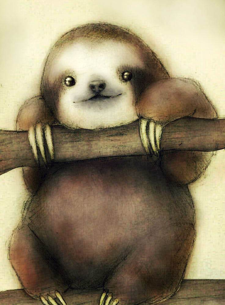 Sloth