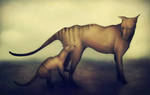 Thylacine by Friendermen