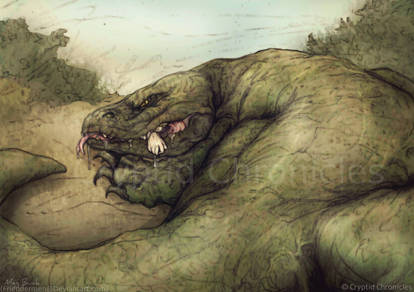 Megalania