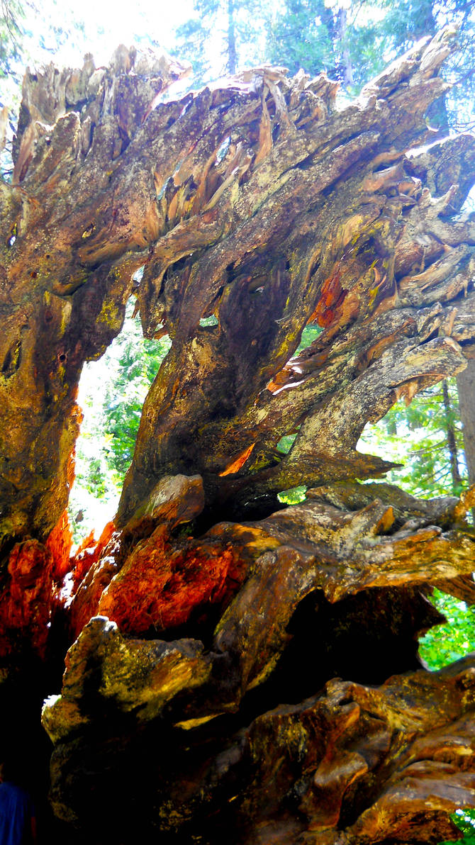 Roots by Mamas-Art on DeviantArt