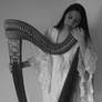 Black and white - celtic Harp