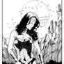 Wonder Woman Inks