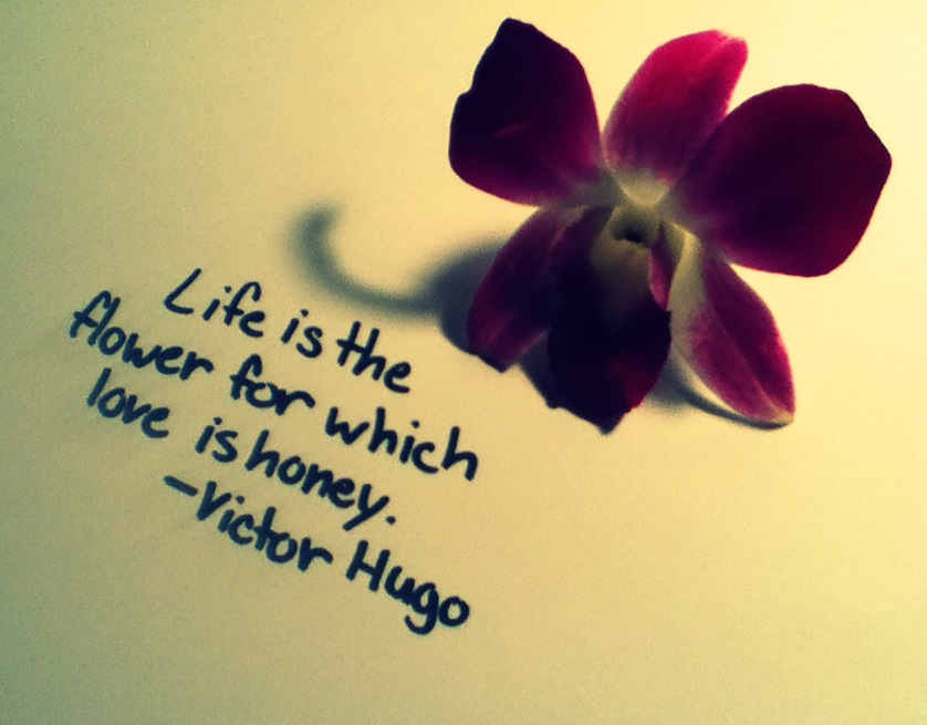 Life Is The Flower For Which Love Is Honey Victo By Pillowthe1st On Deviantart
